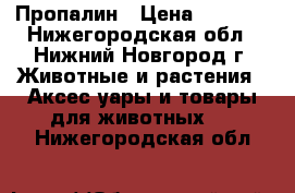 Пропалин › Цена ­ 6 000 - Нижегородская обл., Нижний Новгород г. Животные и растения » Аксесcуары и товары для животных   . Нижегородская обл.